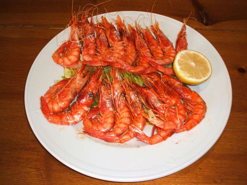 Gamba Roja